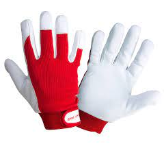 Goatskin Protective Velcro Gloves (Pack Of 6)